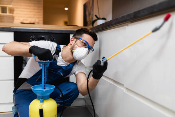 Best Pest Prevention Services  in Macon, GA