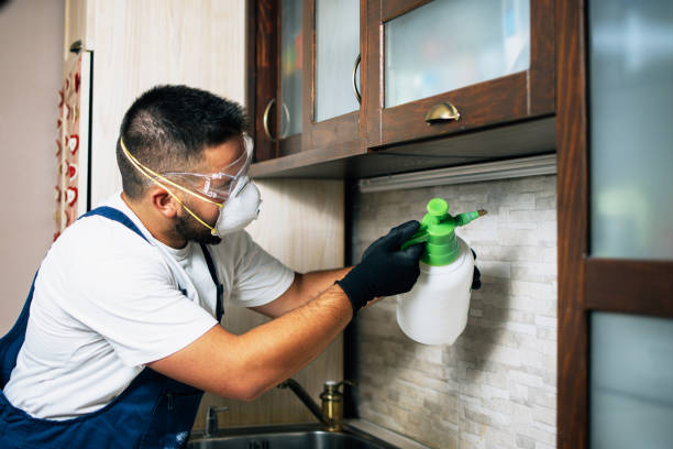 Best Emergency Pest Control  in Macon, GA