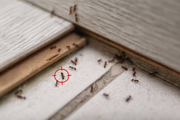 Best Wildlife Control Services  in Macon, GA