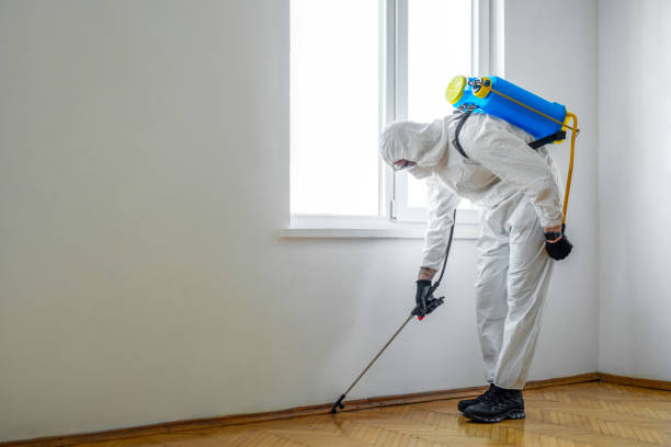 Best Insect Control  in Macon, GA