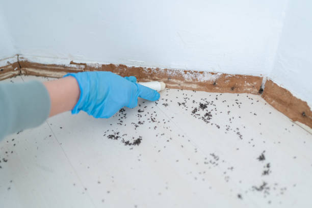 Best Best Pest Control Companies  in Macon, GA